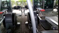 The Peak @ Cairnhill II (D9), Apartment #272093531